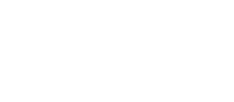 the Collision Project